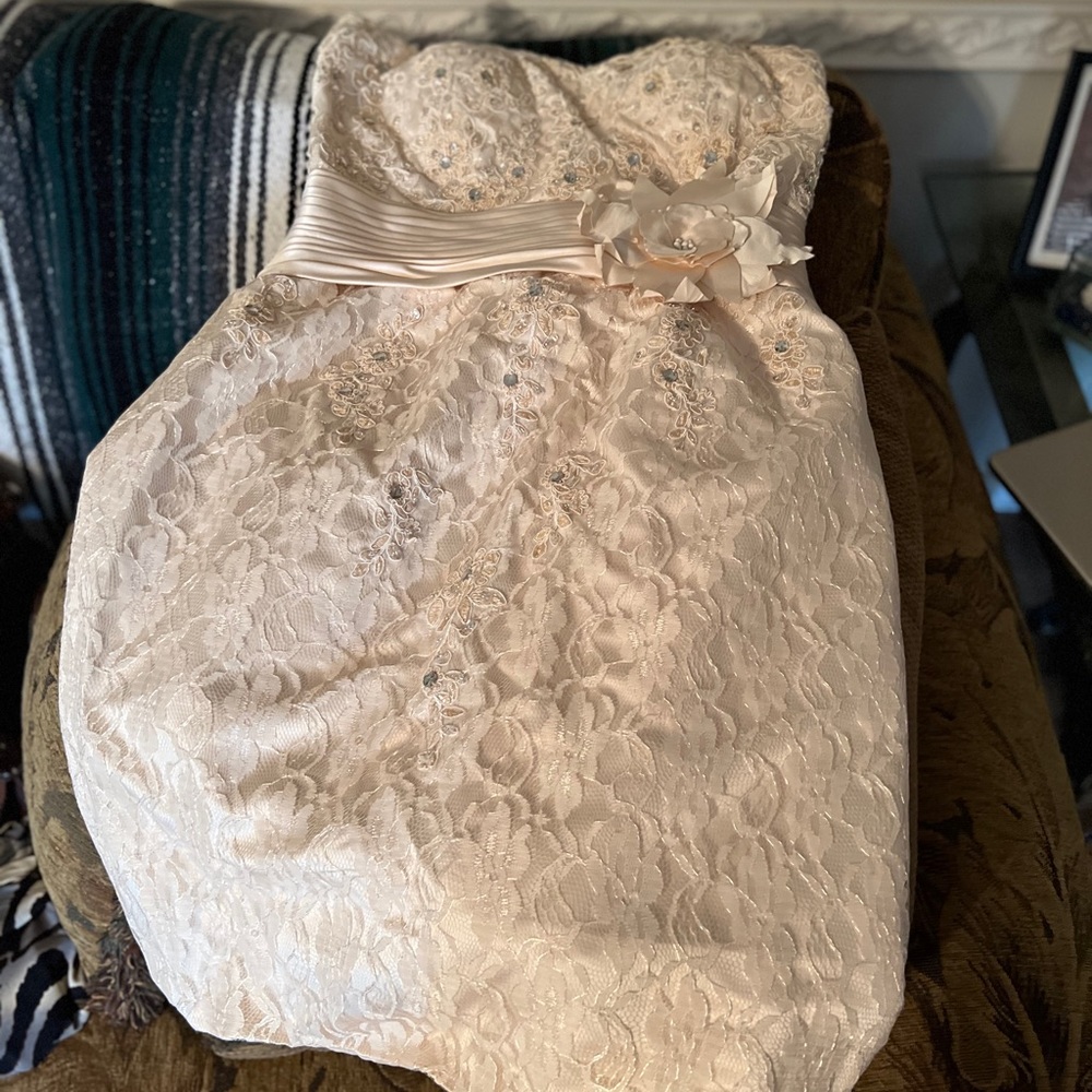 New elegant dress. Sleeveless with a sheer lightweight jacket size 16-18 OBO